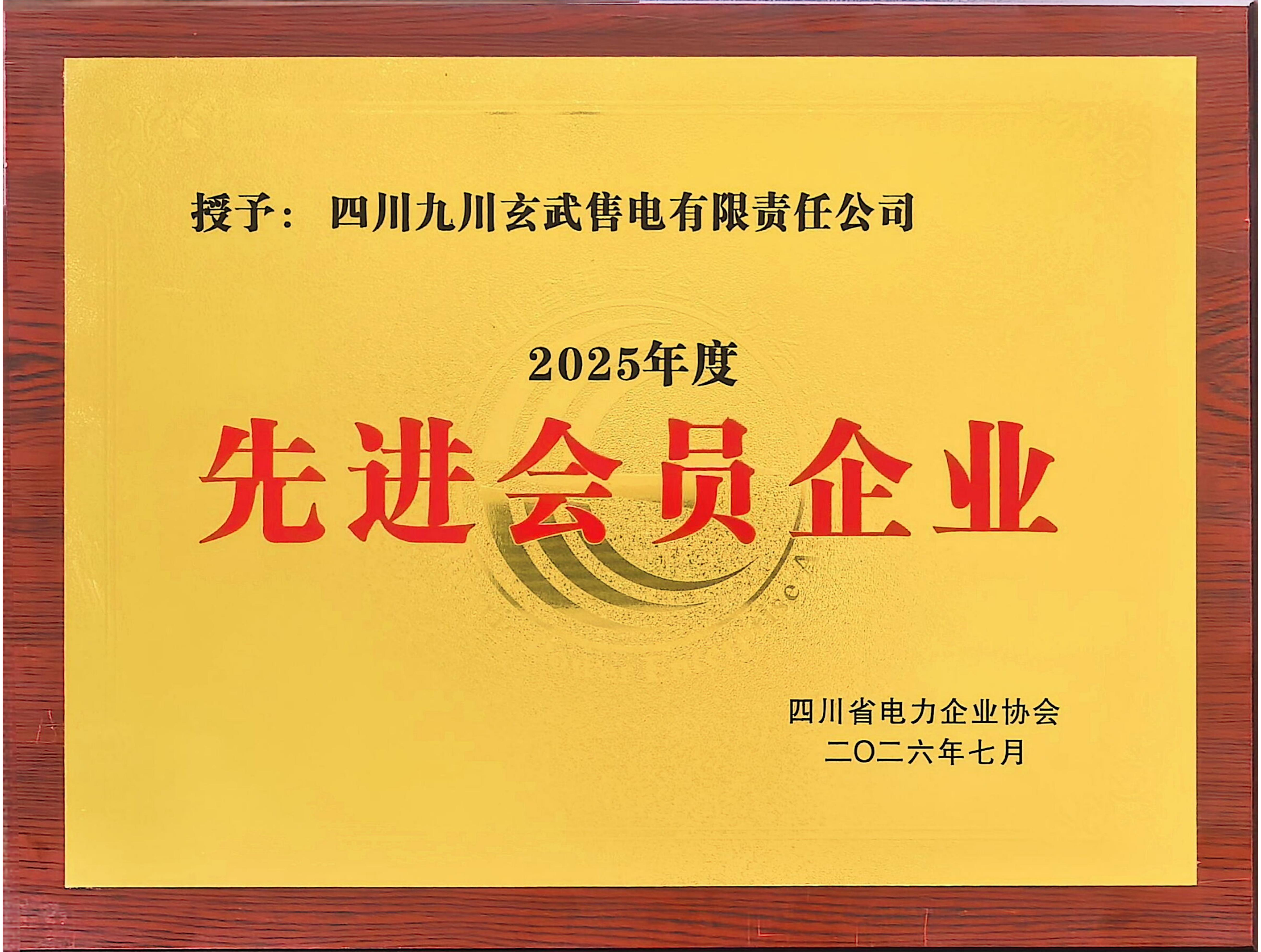 2025年度四川省电力企业协会先进会员企业